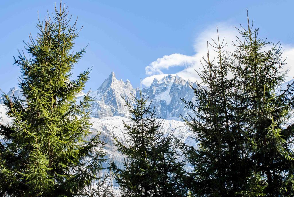 Chalet La Source - Chamonix All Year Exterior foto